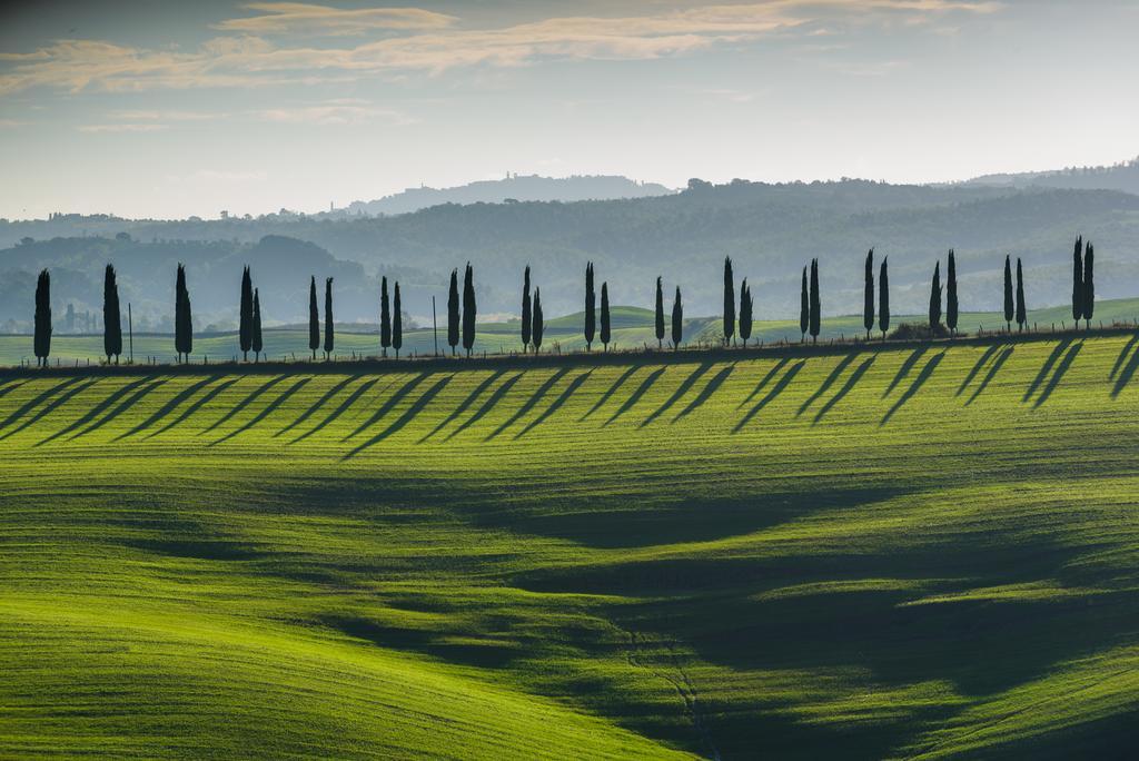 Podere Ampella Villa San Giovanni dʼAsso Екстериор снимка