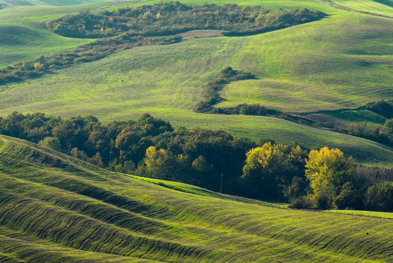 Podere Ampella Villa San Giovanni dʼAsso Екстериор снимка